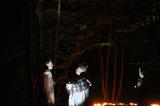 Macbeth en foret 6 * 5184 x 3456 * (6.73MB)